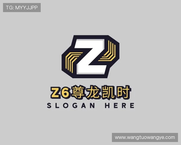 了解z6尊龙凯时